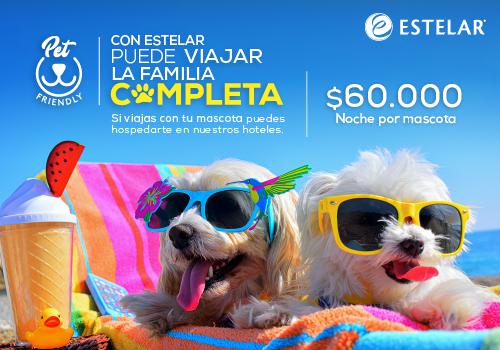 Admite mascotas Hotel ESTELAR Milla de Oro Medellín