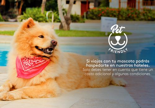 Admite mascotas Hotel ESTELAR Milla de Oro Medellín