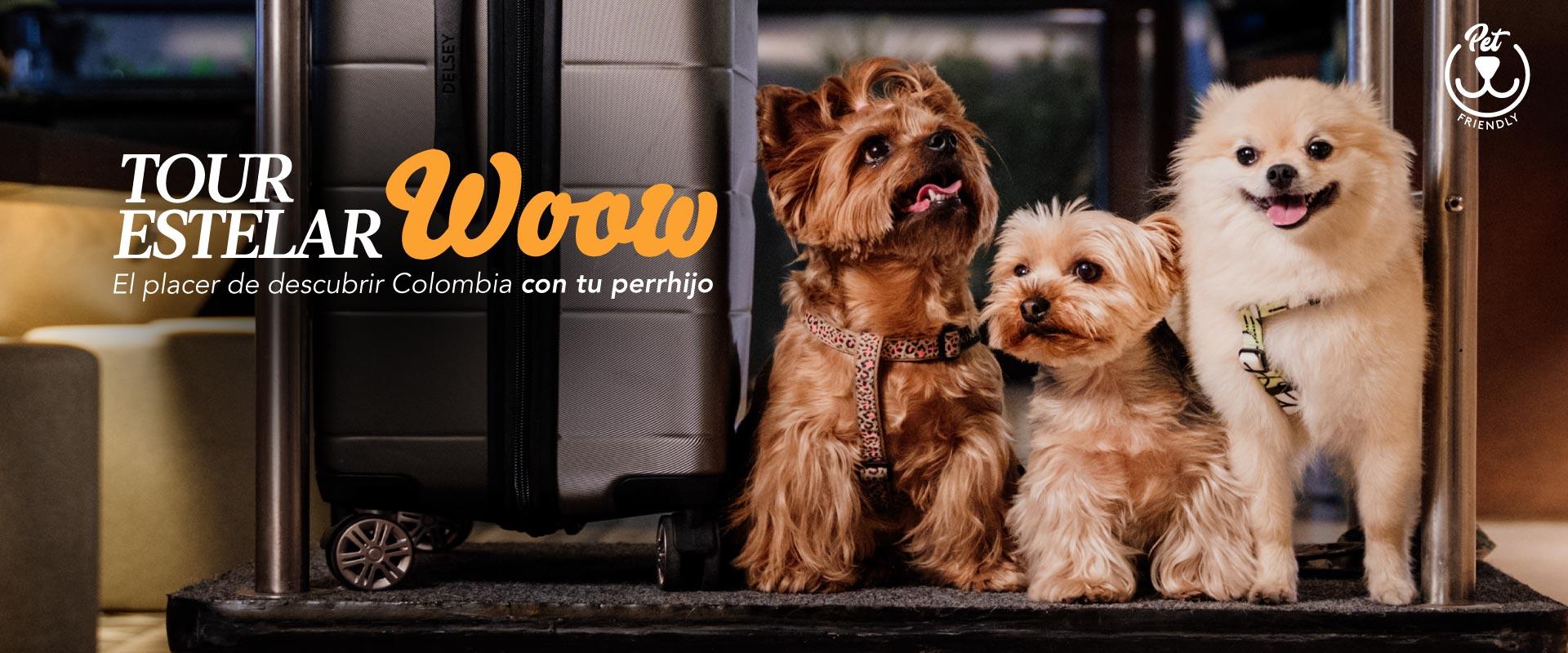 ESTELAR Milla de Oro Colombia - Medellín ESTELAR Milla de Oro Colombia - Medellín