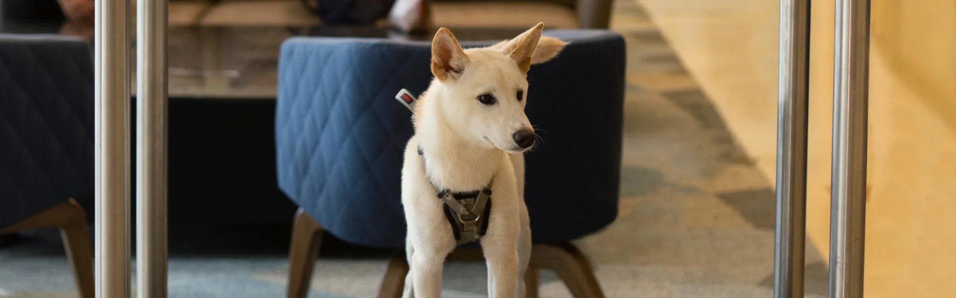 ESTELAR Milla de Oro Colombia - Medellín ESTELAR Milla de Oro Colombia - Medellín