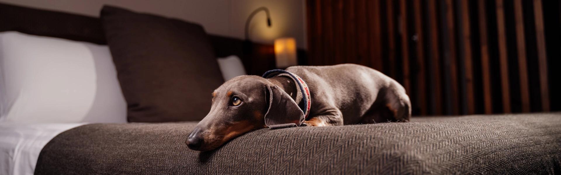 ESTELAR Milla de Oro Colombia - Medellín ESTELAR Milla de Oro Colombia - Medellín